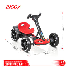Ziggy Mini E-Kart